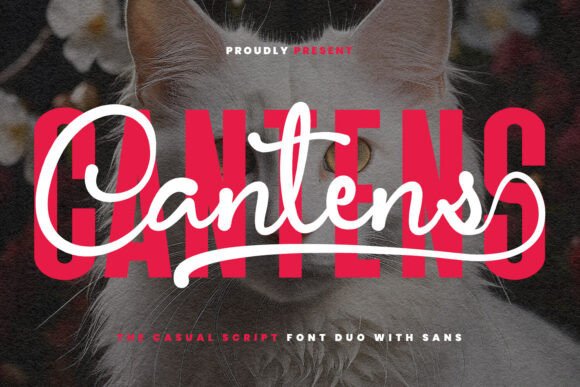 Cantens: A Casual Script Font for Modern Web Design