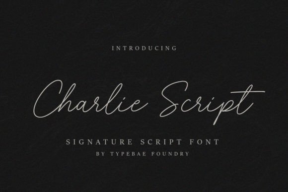 Choosing Charlie Script: A Signature Font for Editorial Stories