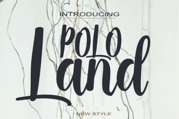 Choosing Polo Land: A Font for a More Polished Business Story