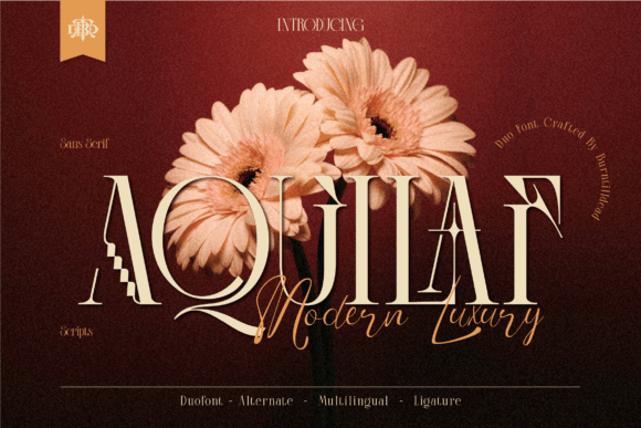 The Aquilaf Typeface: A Dual Personality for Digital Design